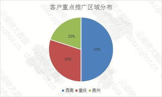 重庆互联网设备销售行业年度优秀案例分析报告（第119期）
